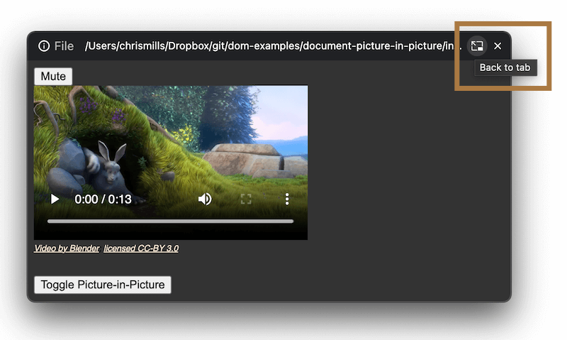 Browserfenster mit einem eingebetteten Videoplayer und mehreren Bedienelementen, mit einer Zurück-zum-Tab-Schaltfläche in der oberen Leiste, hervorgehoben mit einem roten Kasten